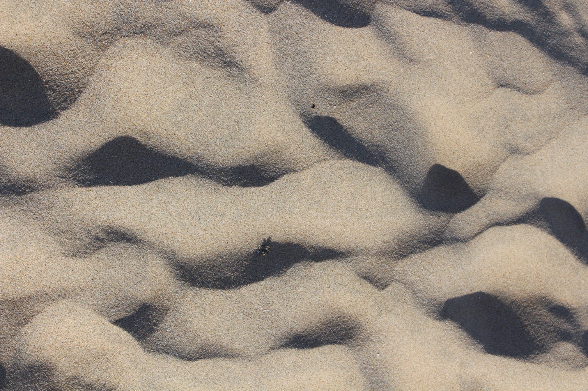 2012, University of Bangor and University of Liverpool, Zone 9 - Celtic Array, Prediction of Sediment Wave Migration